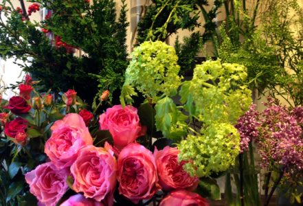 Beautiful Flowers at the Hong Kong Flower Market