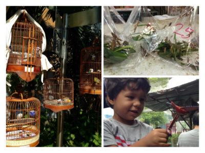 birds, cages and crickets at Hong Kong Bird Garden