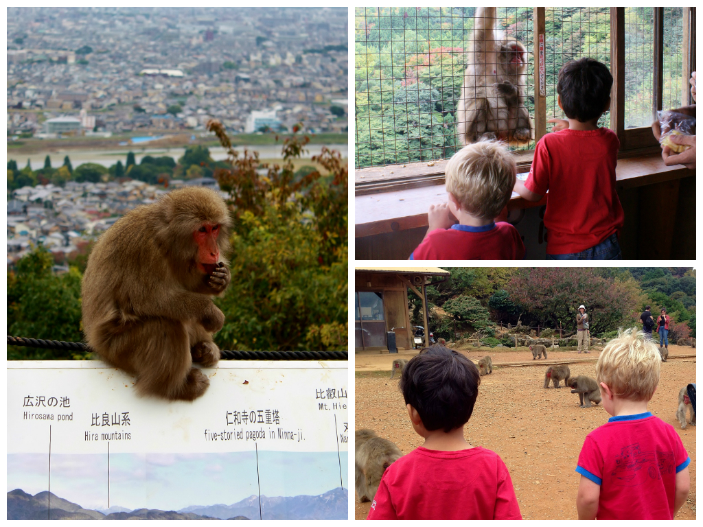 Kids monkeying about at Arashiyama Monkey Park in Kyoto