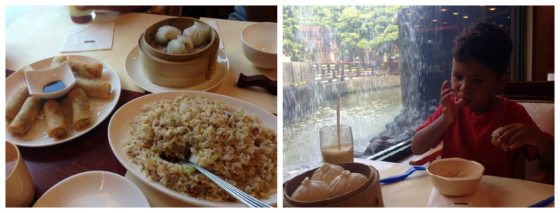 Dim Sum lunch under a waterfall at Nan Lian Garden HK