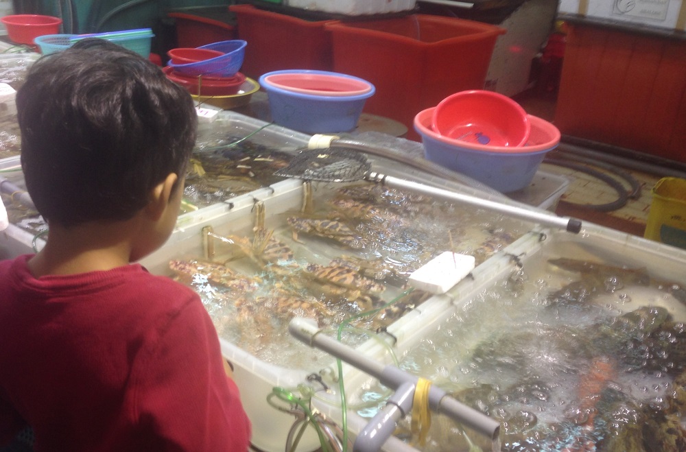 Fish stalls at North Point Ferry Pier, Hong Kong Island - on the way to Whampoa Garden