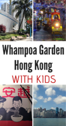 Lots of reasons to visit Whampoa Garden in Hong Kong with kids. Including details of bowling, swimming pools, playgrounds and playrooms