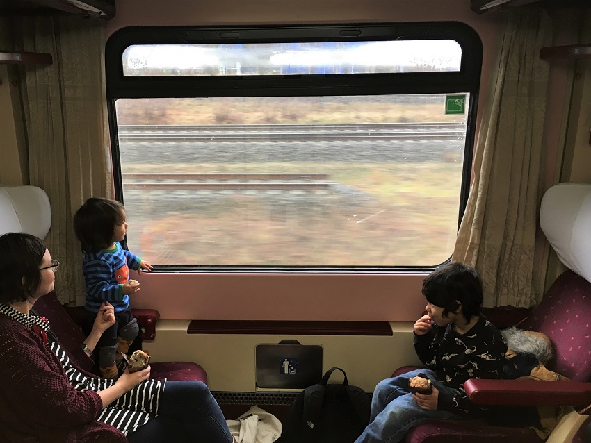 Berlin to Prague within a first class train compartment (3)