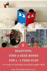 5 beautiful find and seek books for 2 - 6 year olds. Perfect to keep even the youngest detectives occupied during holidays, restaurant trips or just a wet afternoon at home. The Little Adventurer
