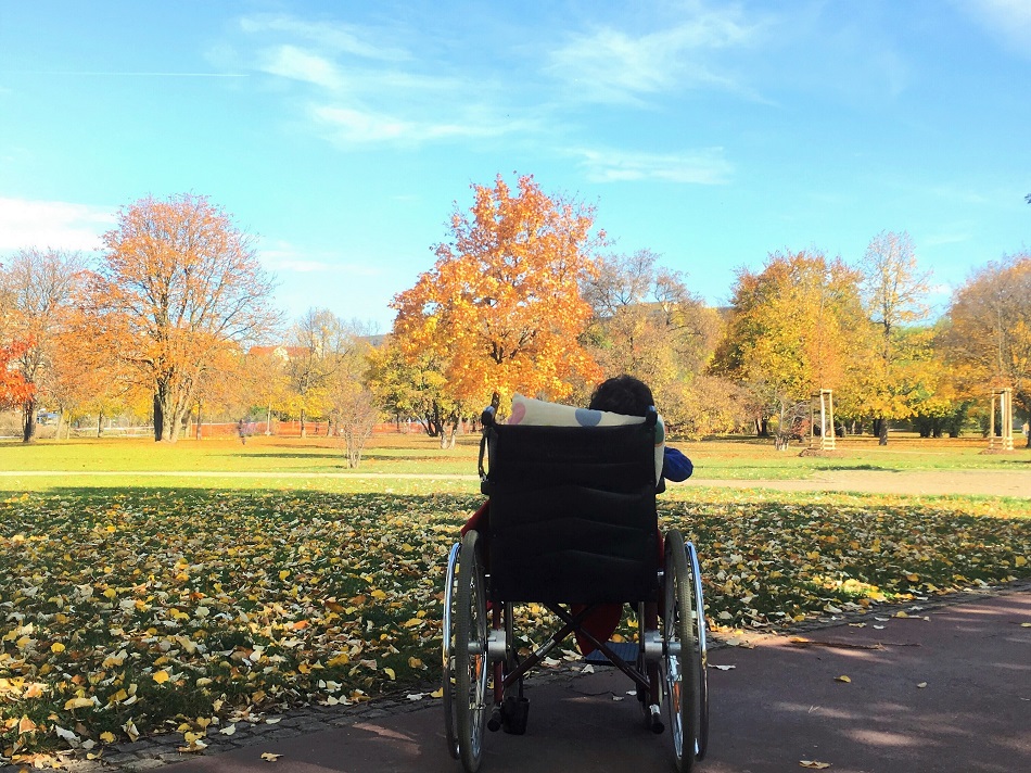 An early park trip with a wheelchair - Ideas for caring for a child with a broken leg - The Little Adventurer