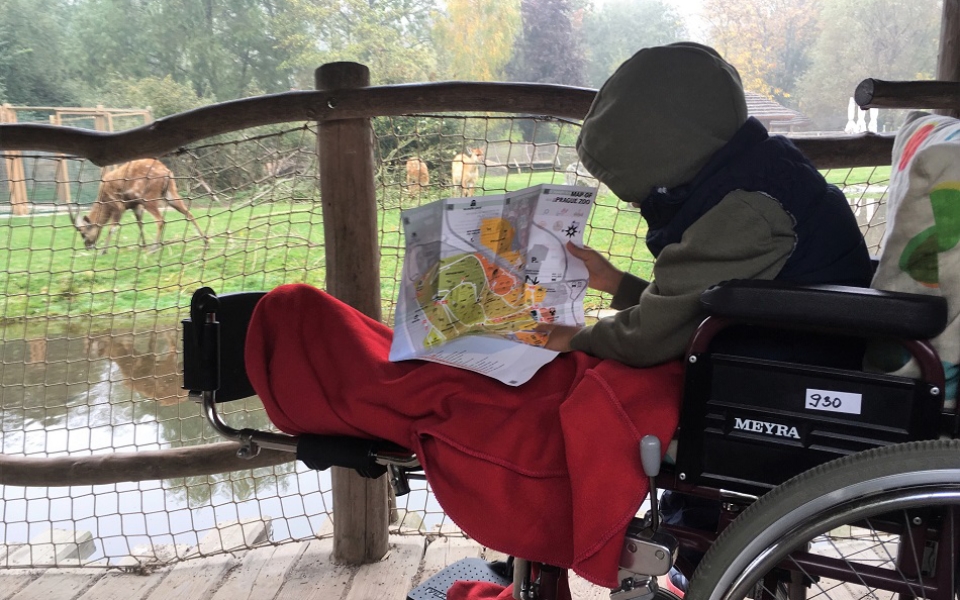 Zoo with broken leg - Ideas for caring for a child with a broken leg - The Little Adventurer