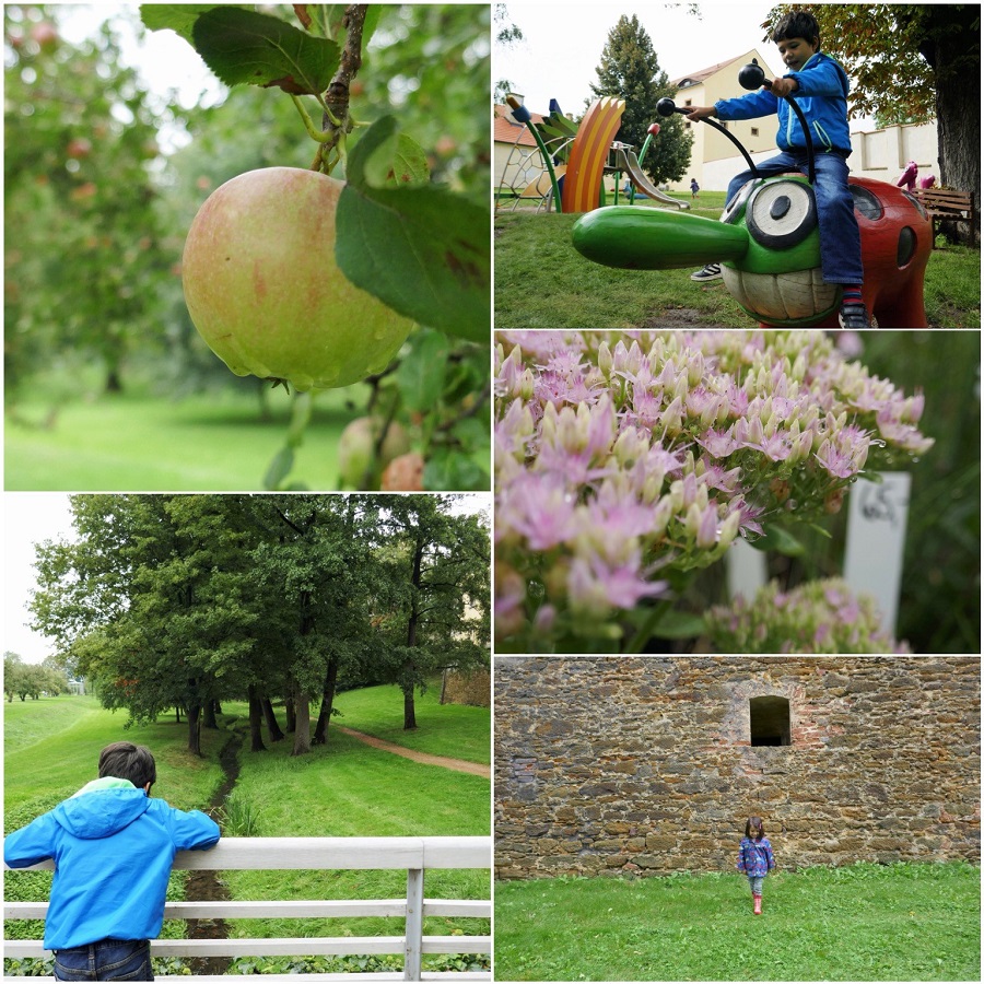 Exploring the grounds and playgrounds at Chateau Ctenice