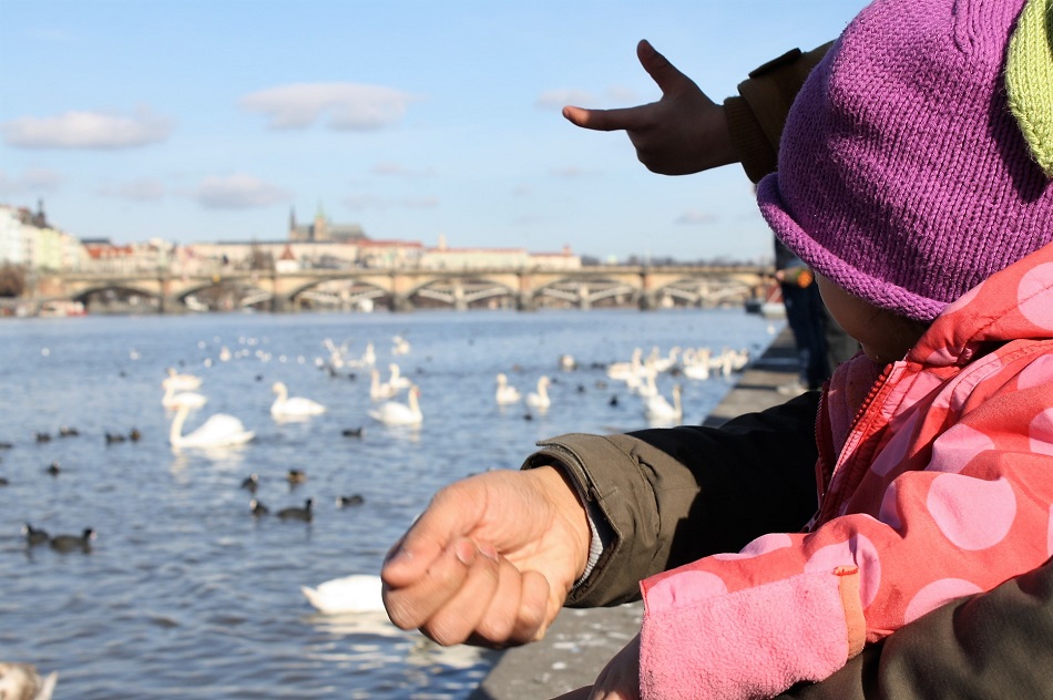 Feeding the birds at the Naplavka Embankment Prague - one of the 78 fun things to do in Prague with kids. The Little Adventurer