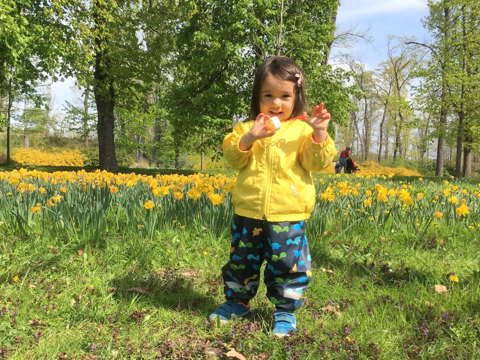 Pops of yellow in Stromovka Prague in Spring