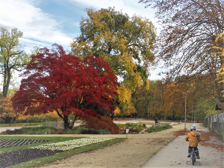 Beautiful autumn colours in Prague's Stromovka Park