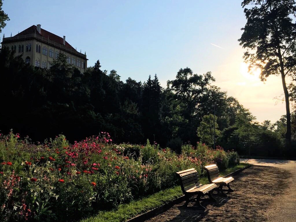 Stromovka Park in Prague on a summer evening