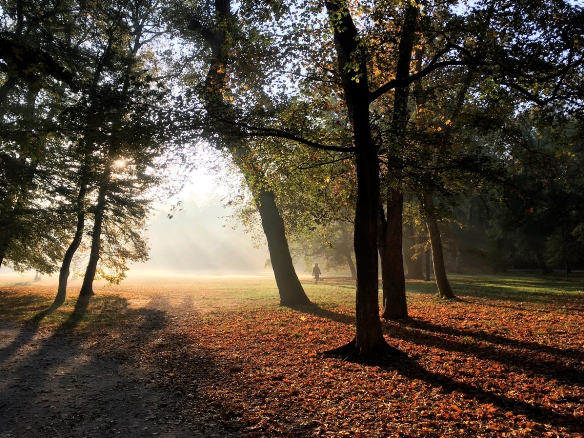 Stromovka park in Prague on an autumn morning