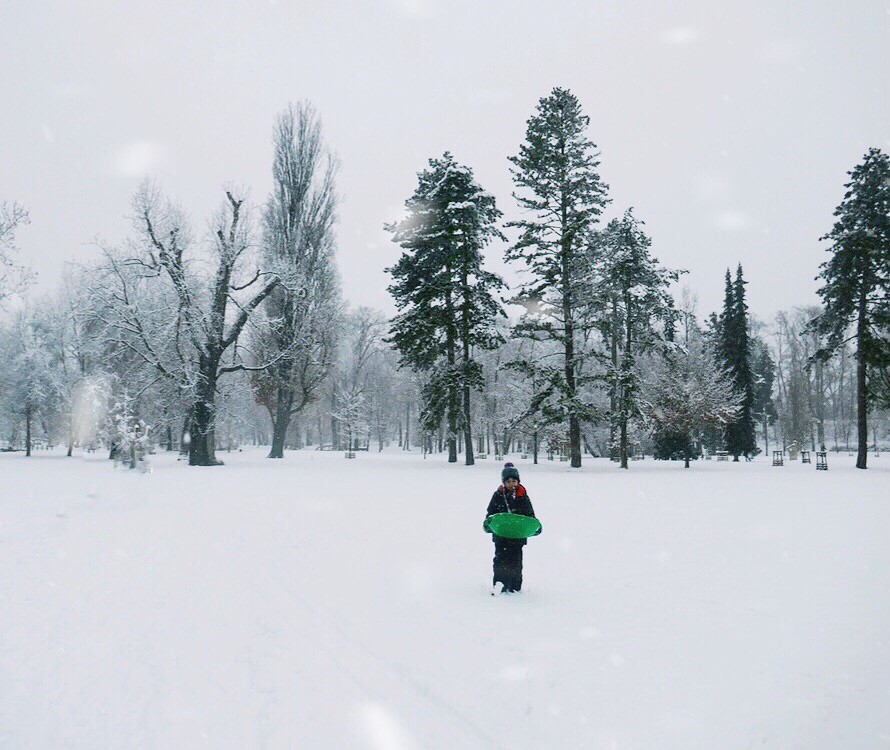 Winter sledging in Stromovka Prague