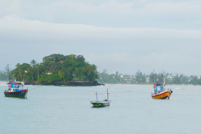 Boats bobbing in Weligama Bay - Family-friendly surfing in Sri Lanka