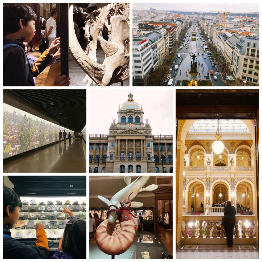 Shots of both the grand exterior and interior of the National Museum Prague, including natural history exhibits and hall of minerals