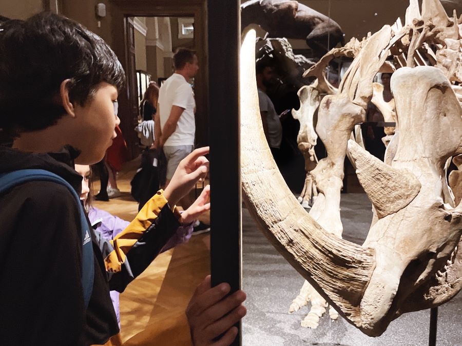 Children staring at a large prehistoric rhino skeleton at the National Museum in Prague - 74 things to do in Prague with kids - The Little Adventurer
